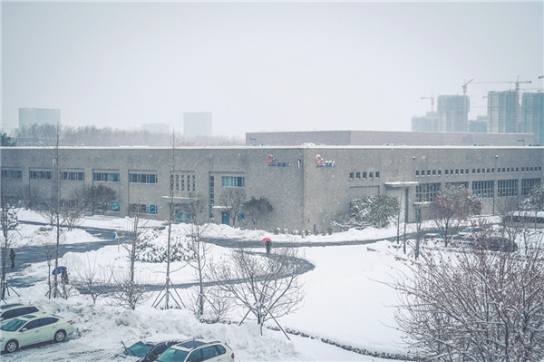 1636436246954359.jpg 3.1.jpg