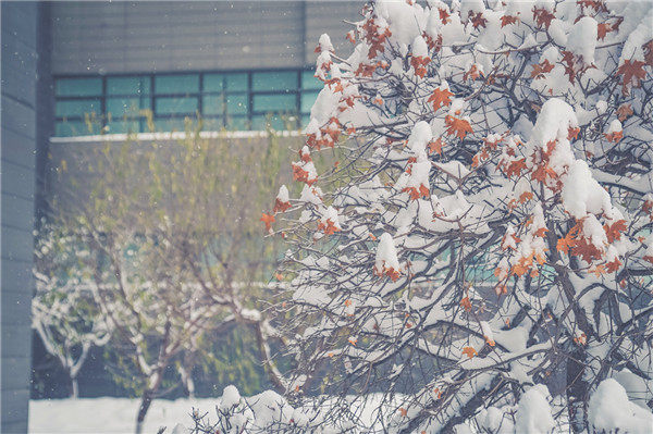 1636436442812180.jpg 7.2.jpg