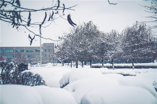 1636436457211551.jpg 5.2.jpg